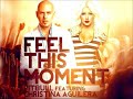 Pitbull – Feel This Moment