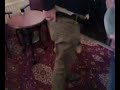 Exfoliating Neil's butt cheeks