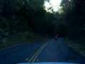 335i Canyon Run