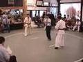 Jota Ninomiya Enshin Karate Hombu Dojo Tournament November 2 