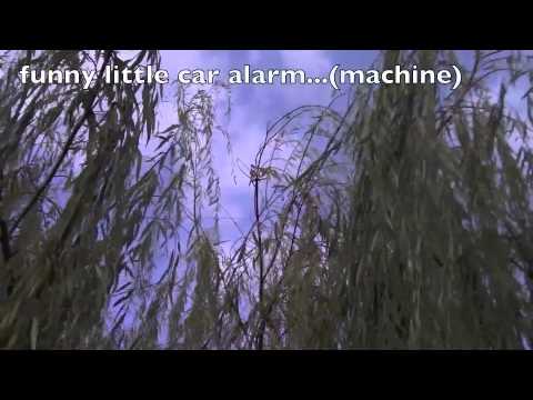 how to practice jediism