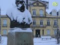 BEIRA TV: Beira Interior coberta de neve