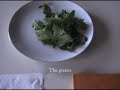 Dandelions