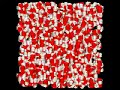 Brownian Motion of Water Molecules
