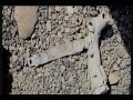 Rare pieces of wtc debris w plane parts.