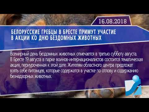 Новостная лента Телеканала Интекс 16.08.18.