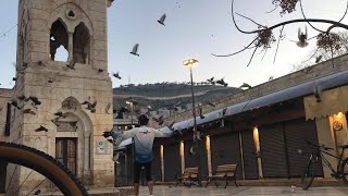 قرية صانور -جنين