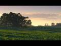videos de Brazil
