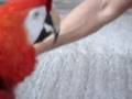Re: ROSIE BIRD  riding the bike