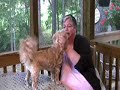 A mom warns of the harm done by \ A mom warns of the harm done by \