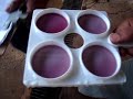Mastite subclínica - CMT -- California Mastitis Test Mastitis