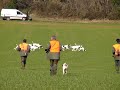 Ver vídeo