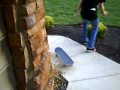 Sensi Skate -.---.- 4 lyf