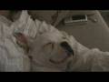 videos de Robe Roncando a los 3 meses