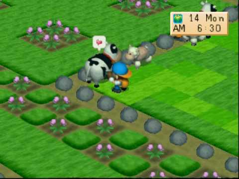 harvest moon ds cheats codes