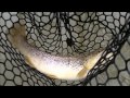 2012 PA Trout Opener