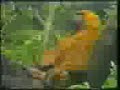 Thumbnail #1