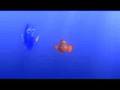 Finding Nemo Trailer