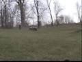 4 wheeler stunts 400ex