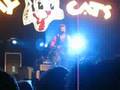 Stray Cats - Sweet Gene Vincent