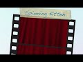 Spinning Kitten