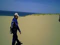 鳥取砂丘 砂丘