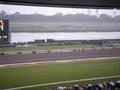 Horse Race... jumping!! :P