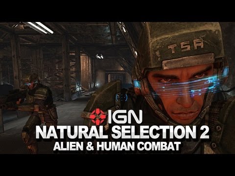 ign ign