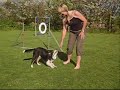 Agility grunder Agility grunder