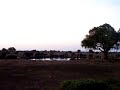 satao camp