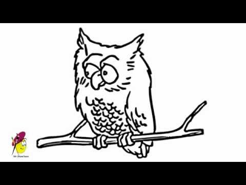 how to draw owl eyes
