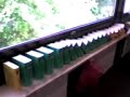 Duden Domino