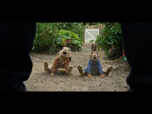 Anteprima Immagine Trailer Peter Rabbit, nuovo trailer italiano ufficiale
