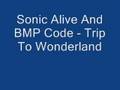 Sonic Alive And Bmp Code - trip to the wonderland