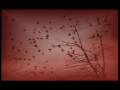 videos de Golgota