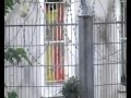 Walhid Truand 2 La Galere Dedicasse Depuis Sa Celulle En Prison