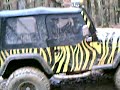 Lake Barkely 08 Jeep Tiger stripe Lake Barkely 08 Jeep Tiger stripe