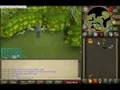 bandos godsword owning