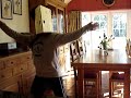Afro Cheese : Dance-A-Thon-O-Matic