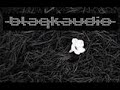 Blaqk Audio - \"Bitter For Sweet\"