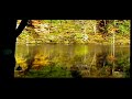 time-lapse-october-sunrises.html