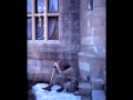 Free.and.Easy ayumi hamasaki subtitulos español