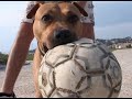 Reste à Marseille - Teaser n°10