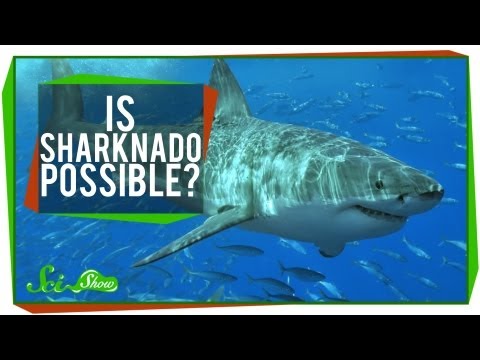 Is SHARKNADO Possible?
