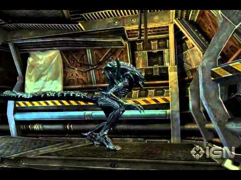 GZ Video