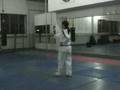 Taekwondo Poomsae