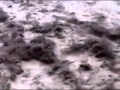 Flood destruction in Kalam Swat.flv.flv