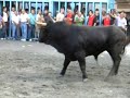 ALMAZORA 2007 EL TORERO