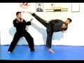 Hapkido yang hum kwan
