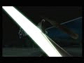 Bug Zelda Twilight Princess Flechas y Bombas Infinitas